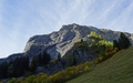 Marchstein