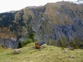 Rappenloch