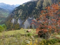 Rappenloch