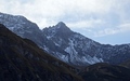 Sazmartinshorn