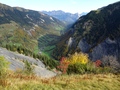 Weisstannental
