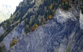 Wisswand