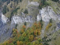 Wisswand