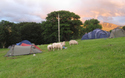 Llanberis Mountain Farm Campsite