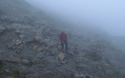 Pyg track