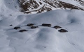 Alp Breitenboden