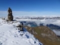 Wildgärst