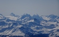 Bouquetins, Dent de Perroc en Mont Collon