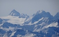 Bouquetins en Dent de Perroc