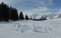 Sneeuwskulpturen
