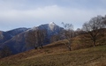 Manera