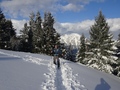 Pizalun