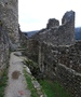Ruine Neu-Falkenstein