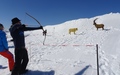 Starmind Snow Weekend: boogschieten