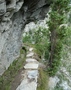 Niwärch Suone
