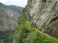 Niwärch Suone