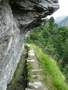 Niwärch Suone