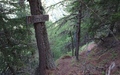 Trosiboden