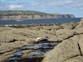 Ravenscar zeehonden