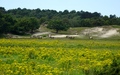 Natuurgebied Oranjezon