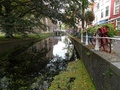 Delft