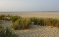 Vrouwenpolder