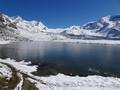 Stellisee