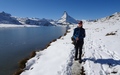 Stellisee
