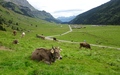 Urnerboden