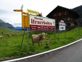 Urnerboden