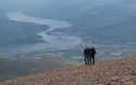 Wandelaars hoog boven Fort William