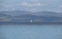 Zeilboot