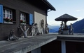 Bellwald