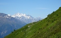 Dom, Matterhorn