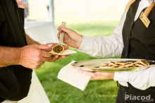 481. Fizető pincér - Chef de Rang - Svájci Alpok