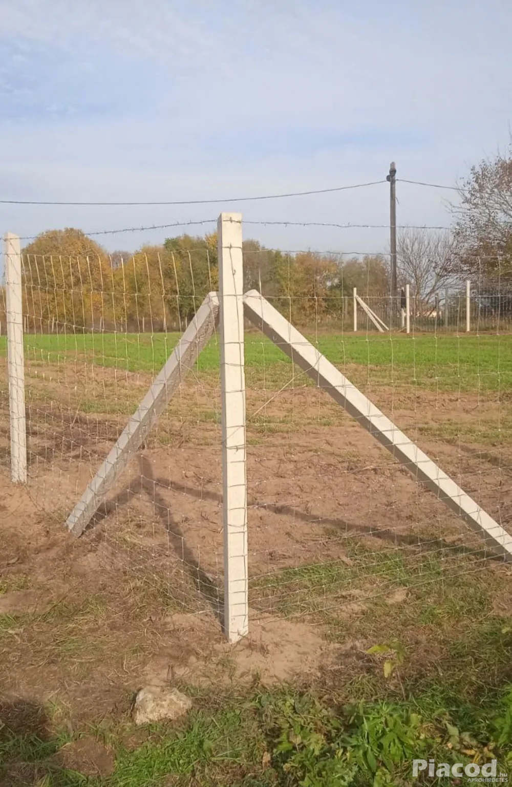 Kerítésépítés bomba áron! Vadháló, drótfonat, drótháló, kapu, kerítés oszlop