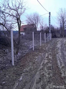 Kerítésépítés bomba áron! Vadháló, drótfonat, drótháló, kapu, kerítés oszlop