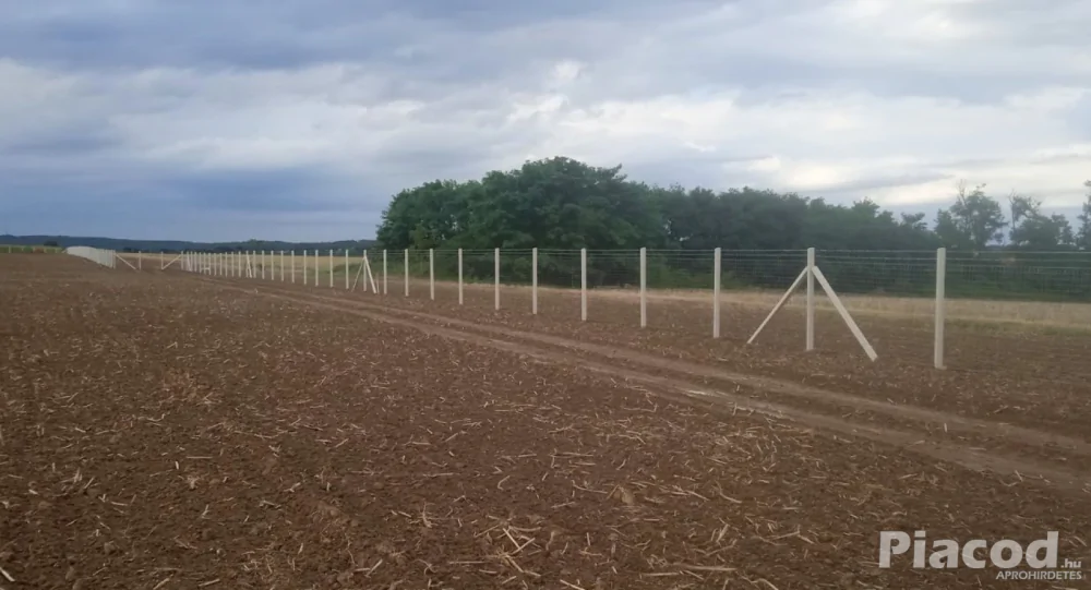 Kerítés építés! Betonoszlop, vadháló, drótfonat, drótháló, kerítésépítés