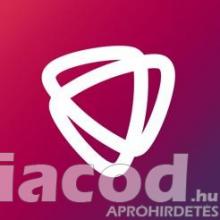 Romanian Speaker Financial Accountant | Budapest