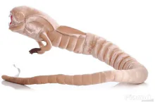 Alien Xenomorph Chestburster plüss 25 cm