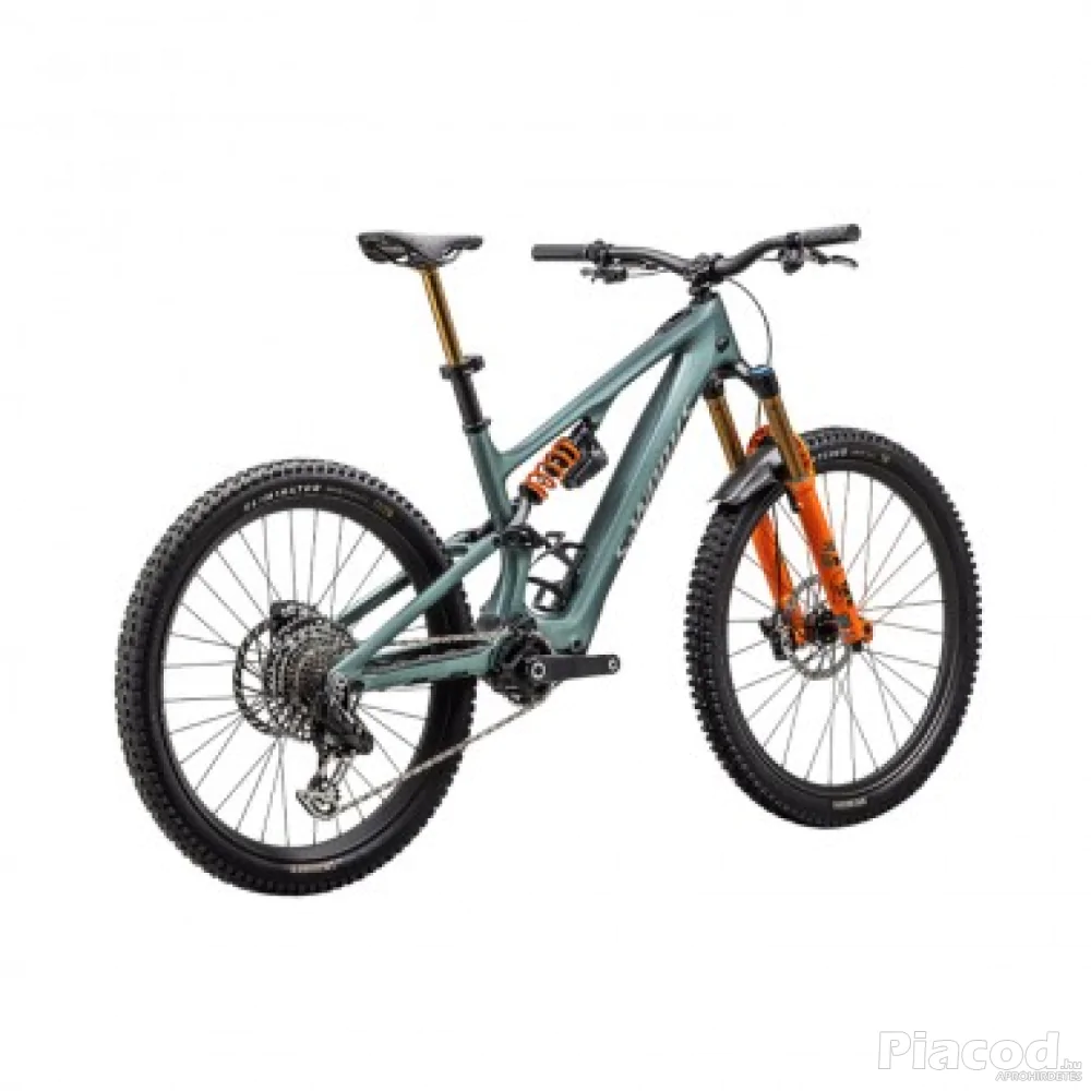 2025 Specialized S-Works Turbo Levo SL LTD Mountain Bike | INDORACYCLES