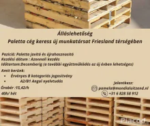 Frieslandi munka-Paletta cegnel (Surgos)