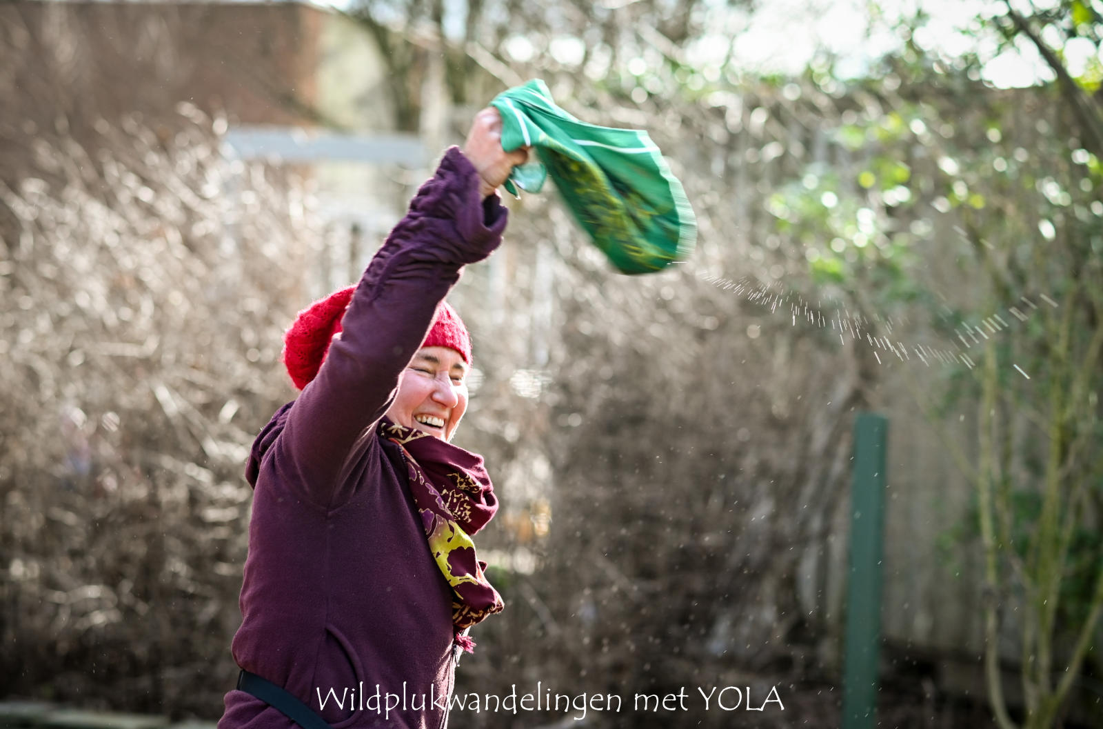 Yola