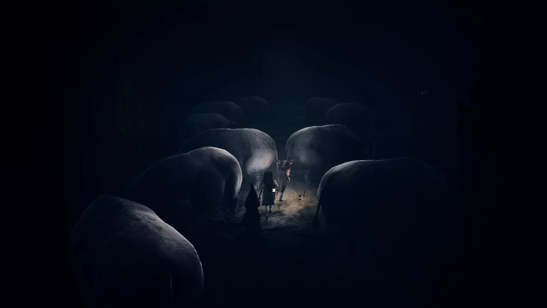 20260207-01KGWFQ6AGD1Y04E7CDX5XWXCP-EAF5D19A-F6AA-4460-A24D-C5435A2C3CCA