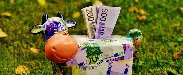 730x300 - Sparschwein - Kuh mit Geldscheinen