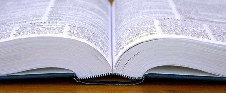 730x300 - Buch - aufgeschlagen