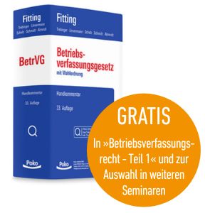 288x300 Fitting Störer