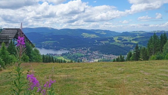 Blick vom Hochfirst auf den Titisee im Schwarzwald