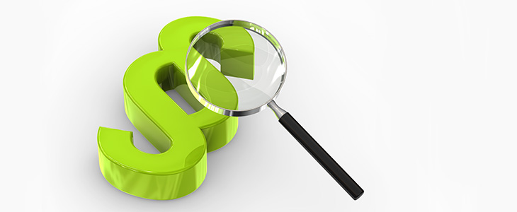 730x300 - Lupe mit Paragrafenzeichen