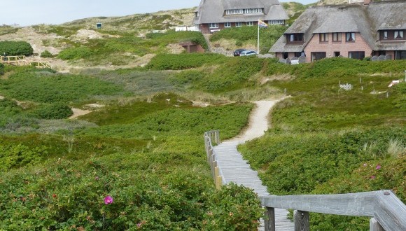 Holzsteg Dünenlandschaft in Rantum auf Sylt